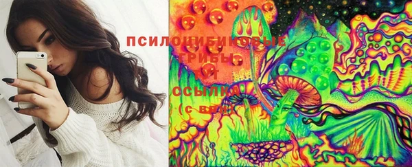 мяу мяу кристалл Алексин